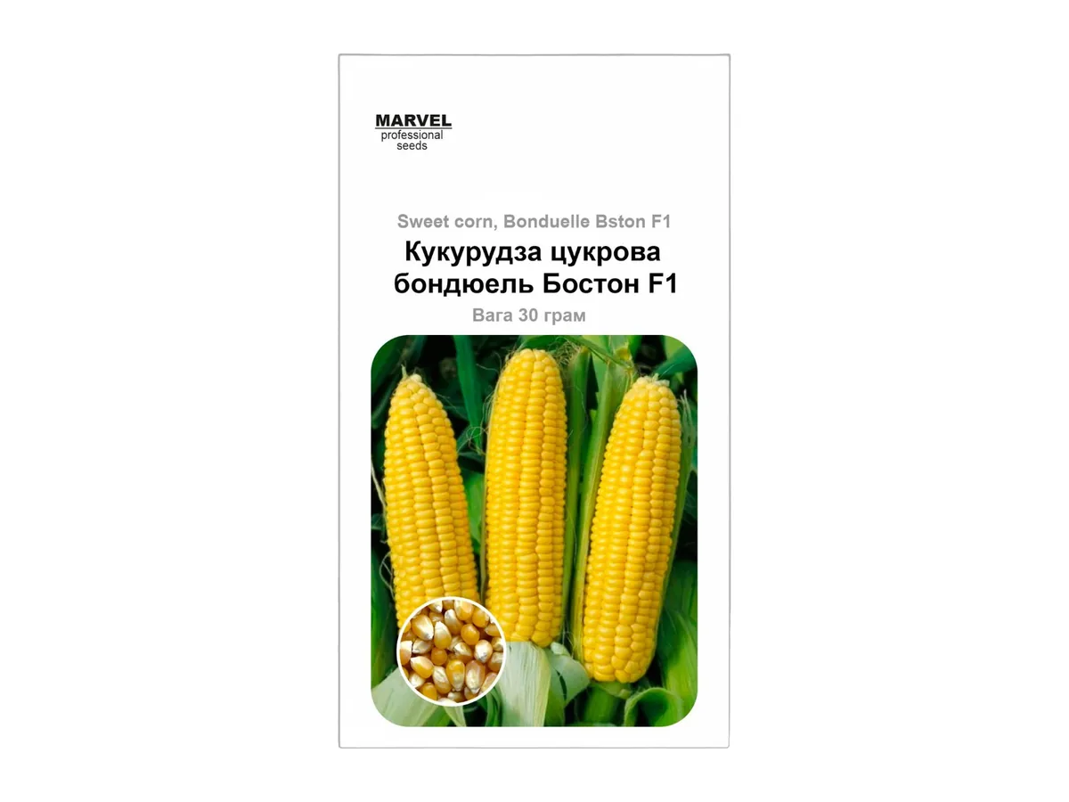Кукурудза цукрова Бостон F1 — гібрид, ранньостиглий