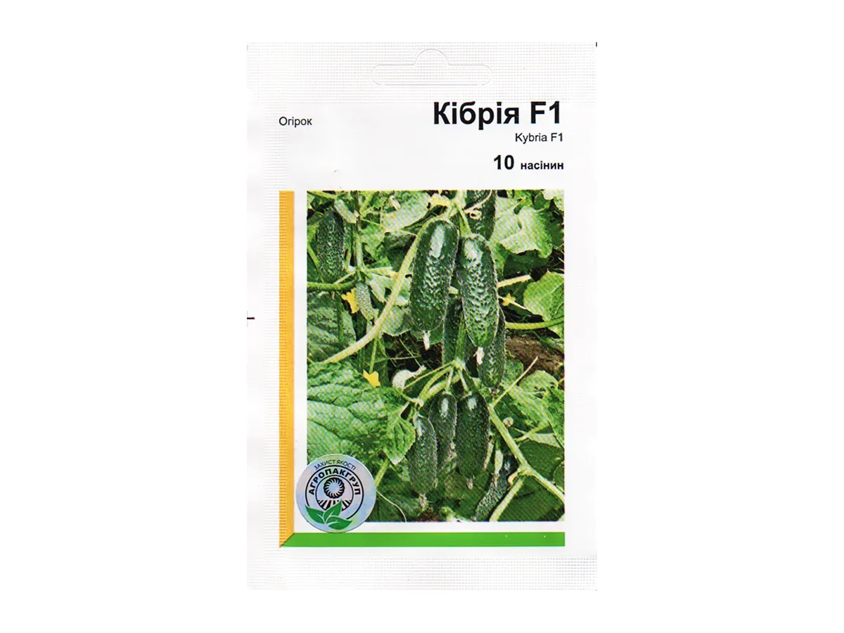 Огірок Кібрія F1 — гібрид