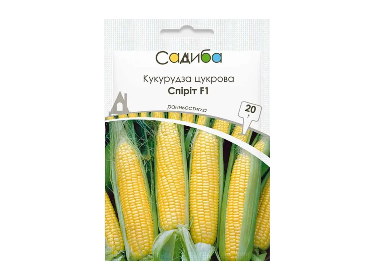 Кукурудза цукрова Спіріт — гібрид, ранньостиглий